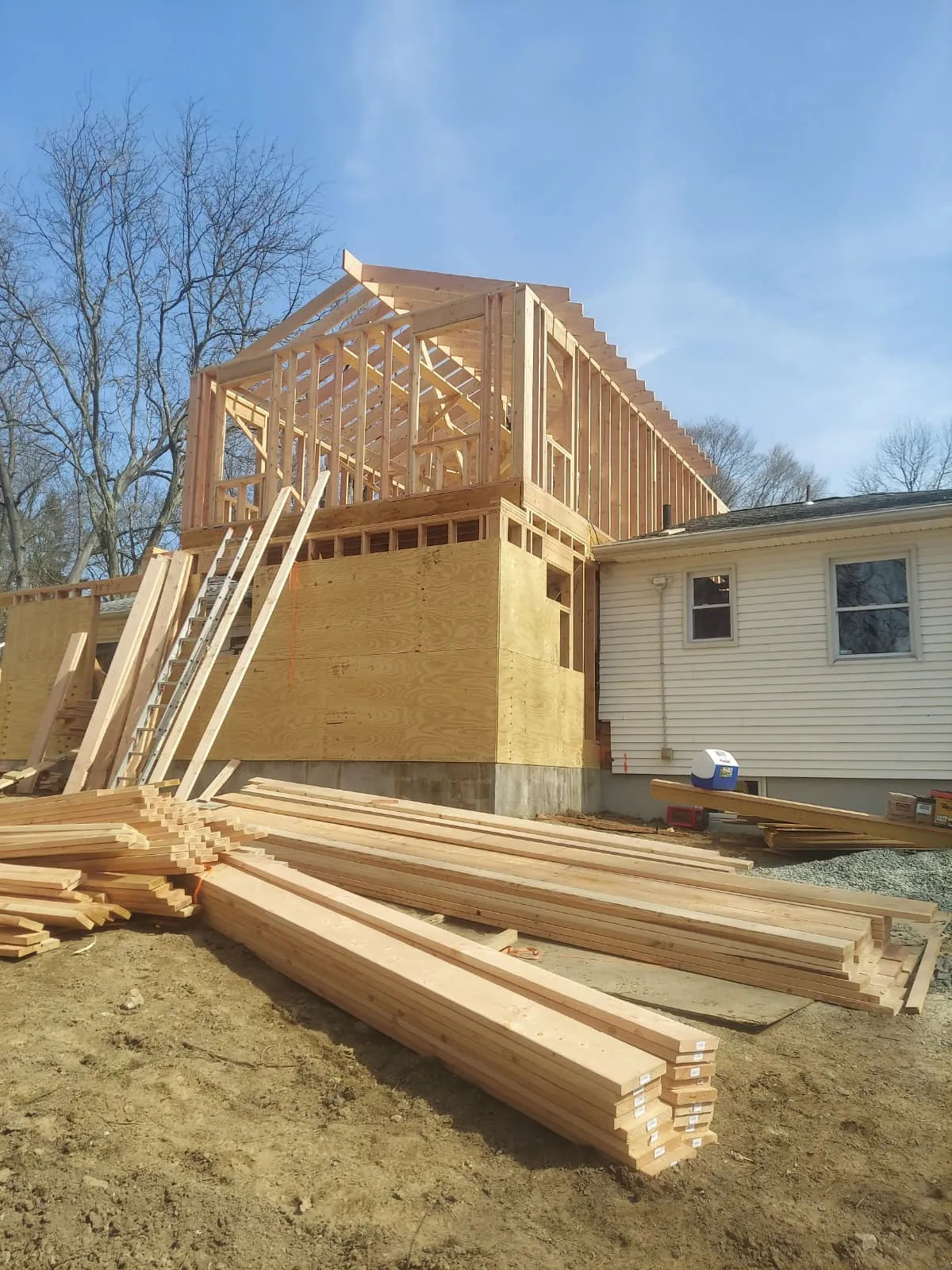 Complete structural framing framework by Frank GC